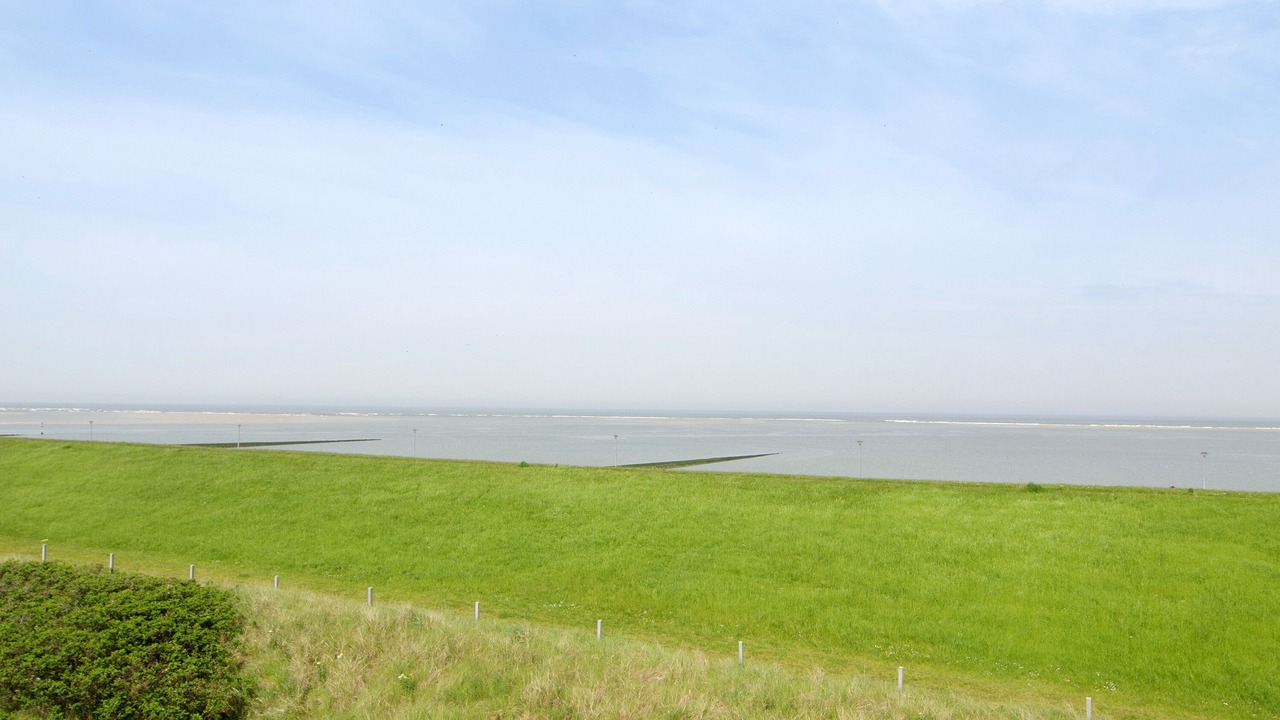 Photo of Others in Baltrum