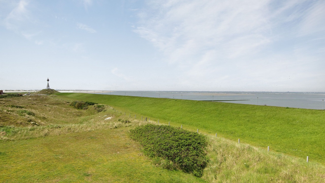 Photo of Others in Baltrum