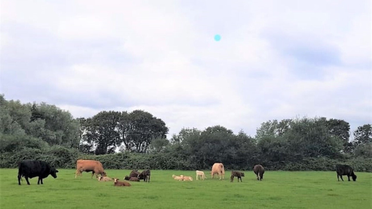 Photo of Others in Hadlow Down