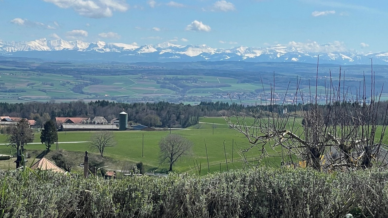 Photo of Outdoor in L'Abergement