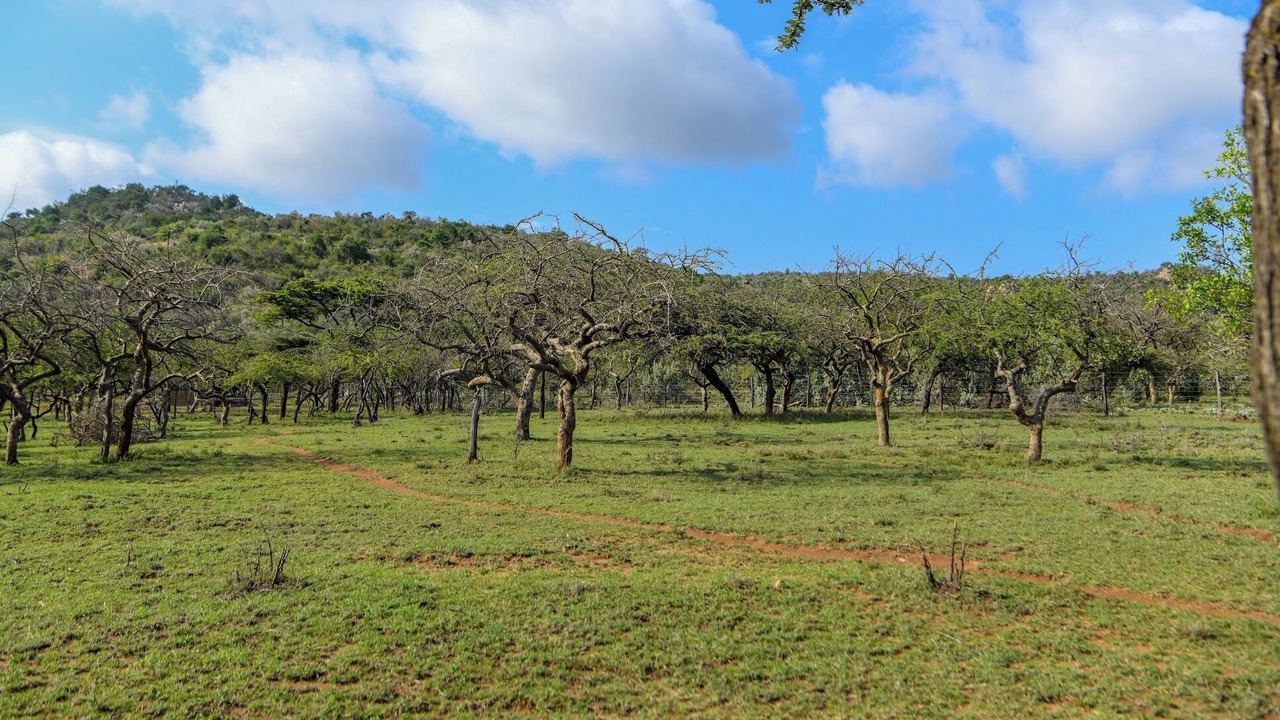 Photo of Others in Maasai Mara