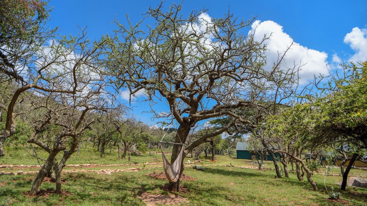 Photo of Others in Maasai Mara