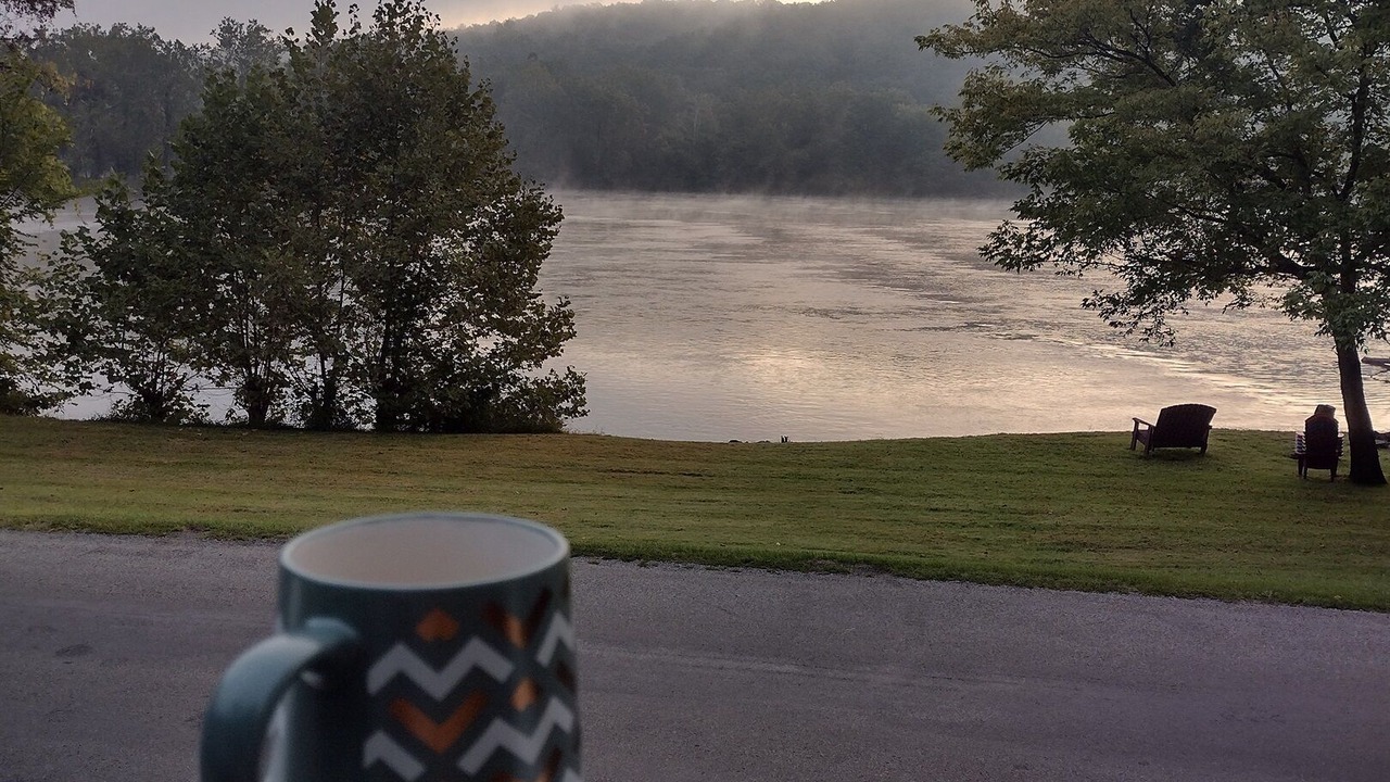 Photo of Outdoor in Parrott