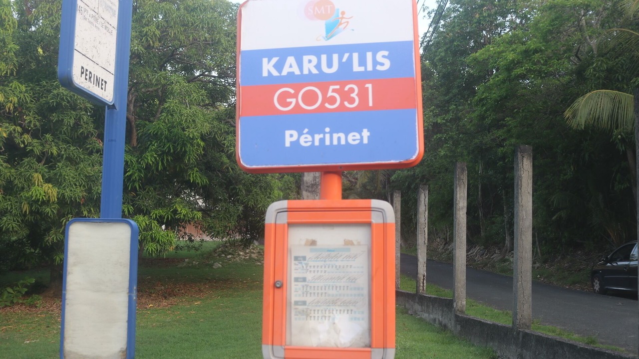 Photo of Outdoor in Perinet