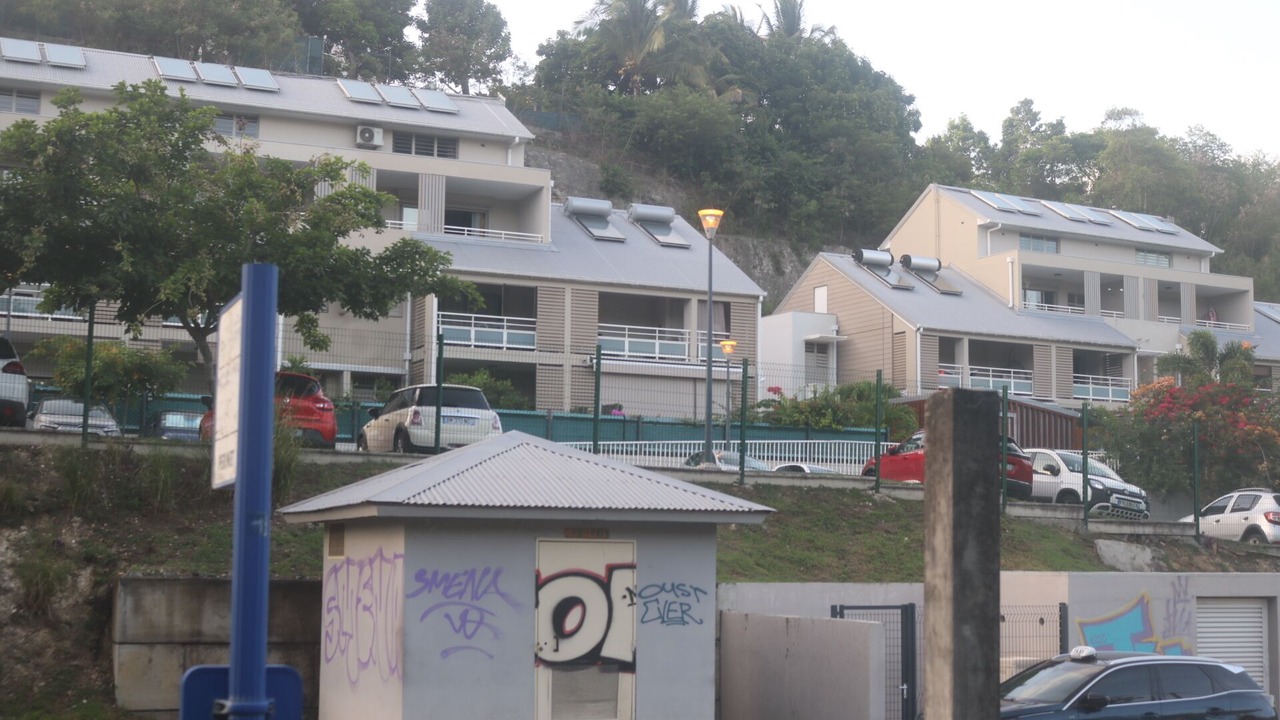 Photo of Outdoor in Perinet