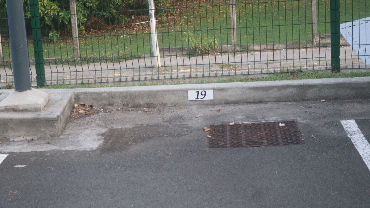 Photo of Outdoor in Perinet