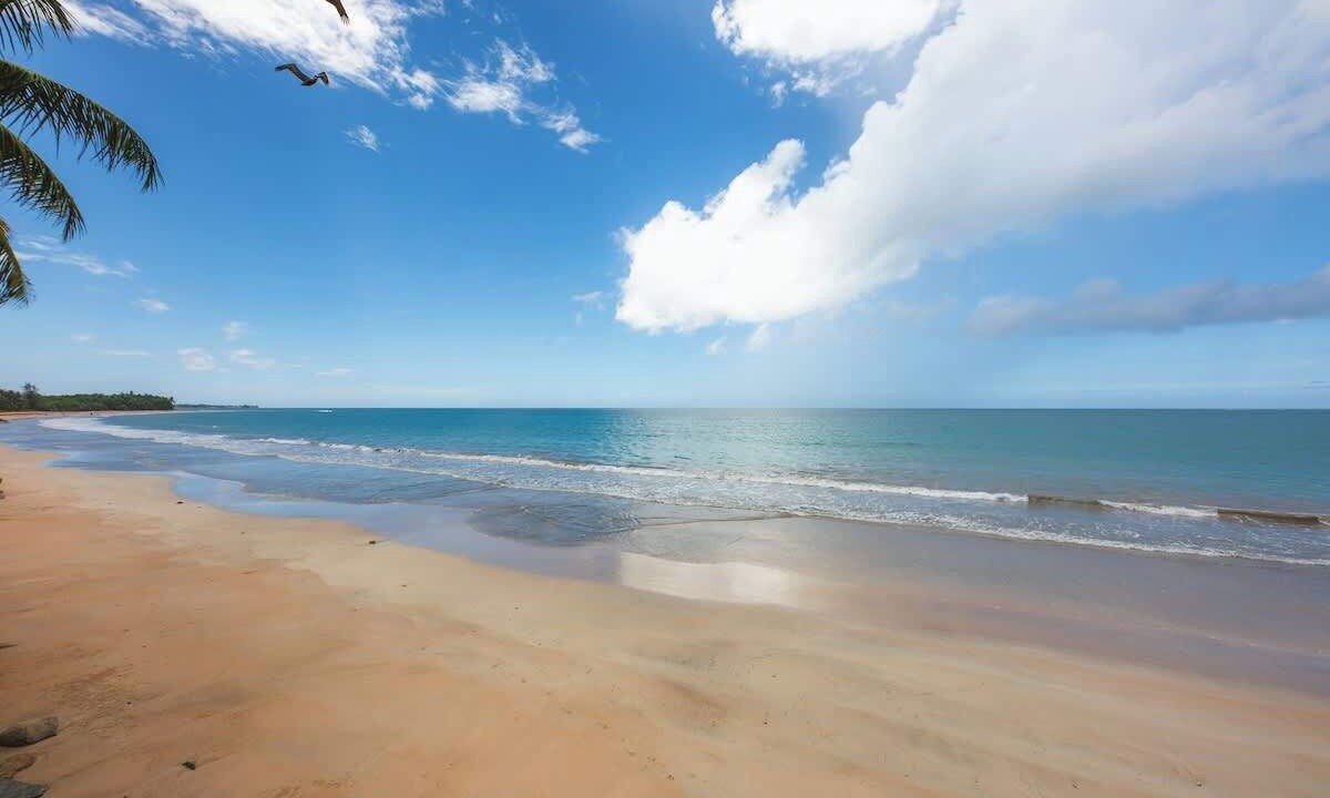 Photo of Others in Playa Fortuna