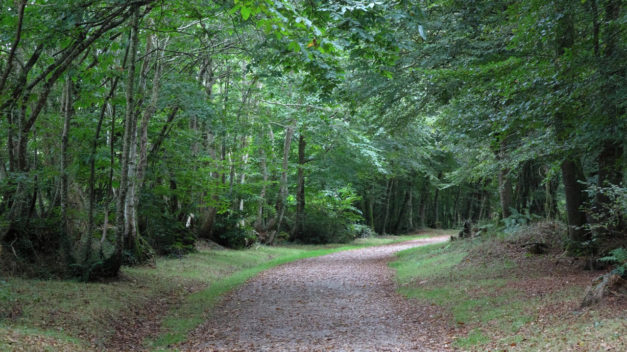 Photo of Others in Plogonnec
