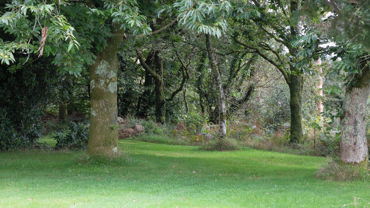 Photo of Outdoor in Plogonnec