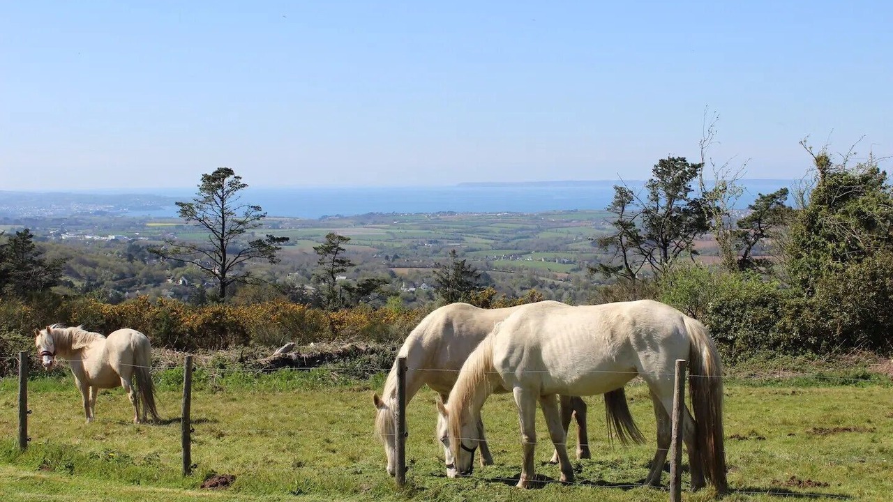 Photo of Others in Plogonnec