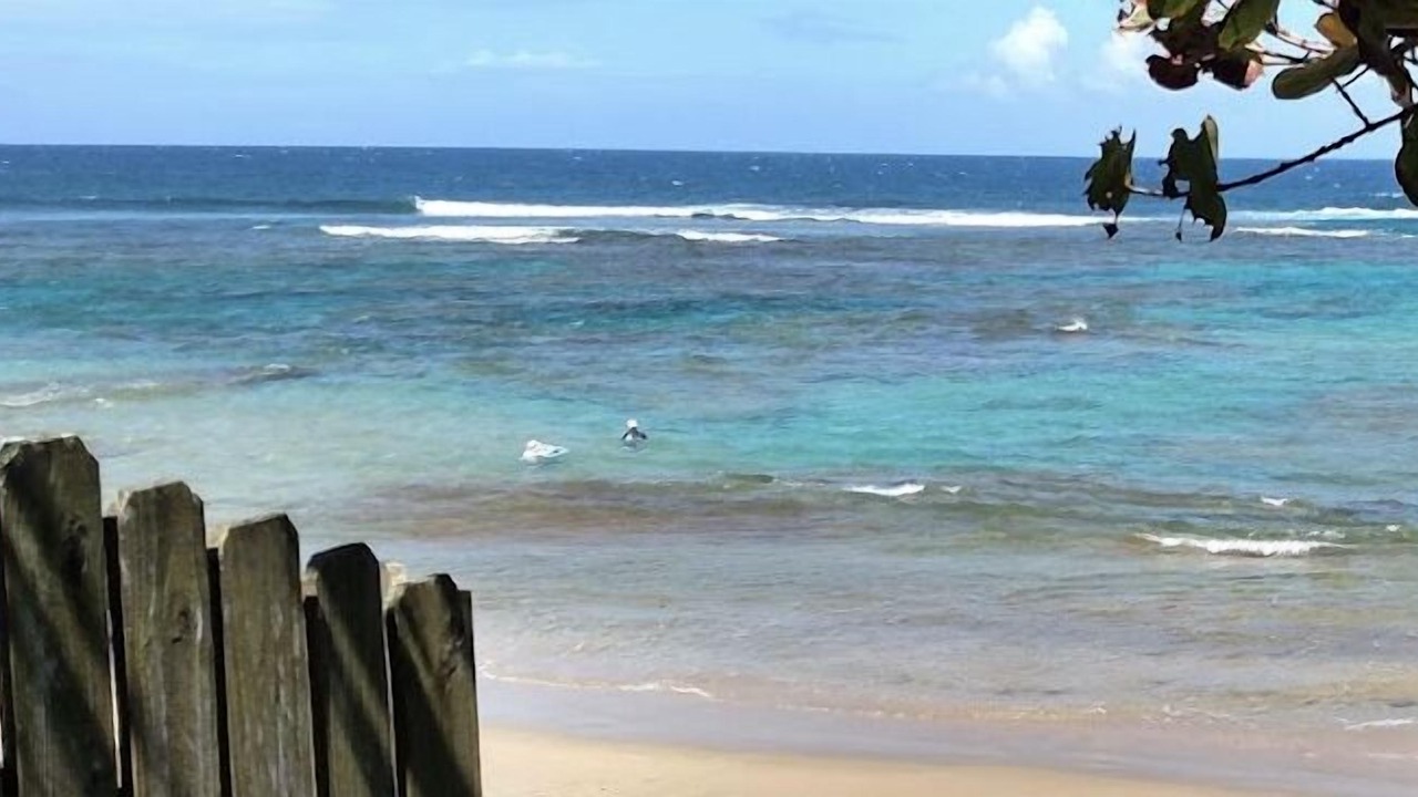 Photo of Others in Isabela
