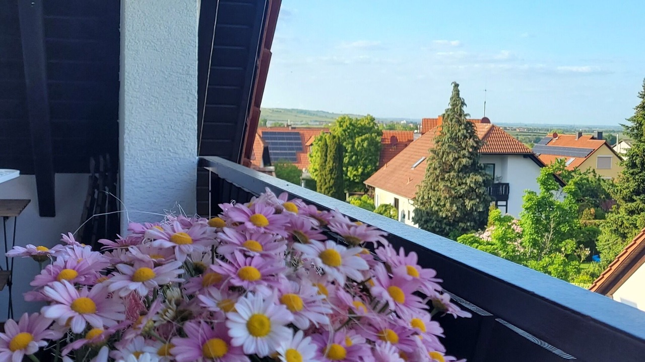 Photo of Outdoor in Bobenheim am Berg