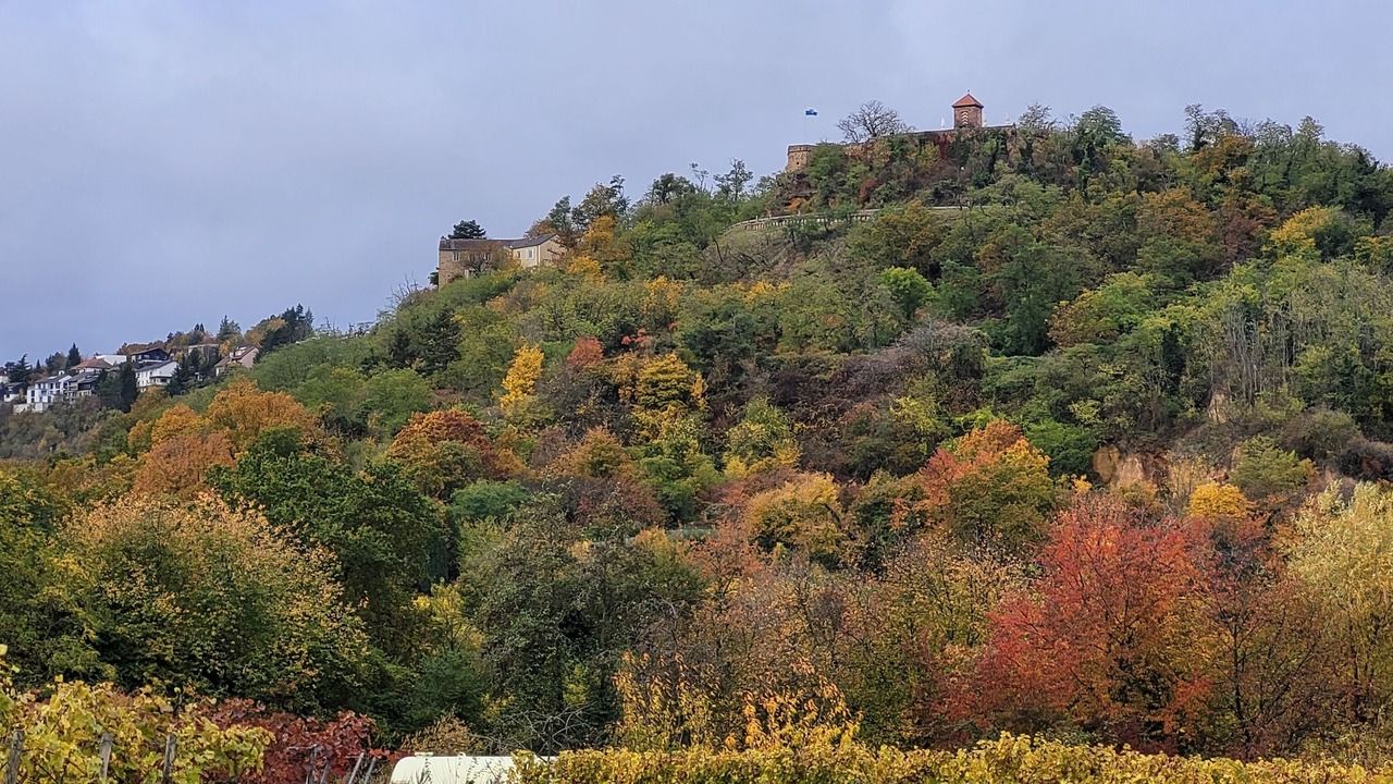 Photo of Others in Bobenheim am Berg