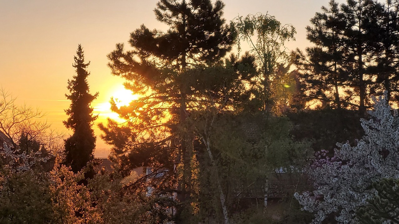 Photo of Outdoor in Bobenheim am Berg