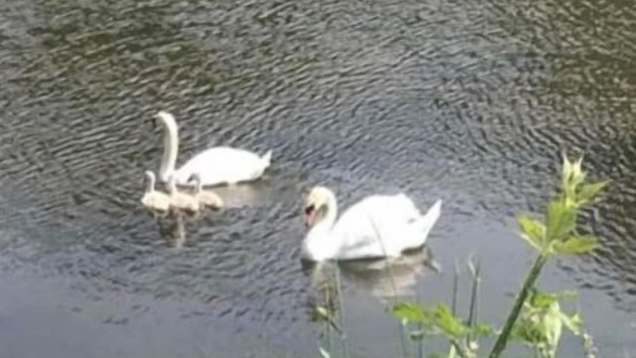 Photo of Others in Kilmyshall