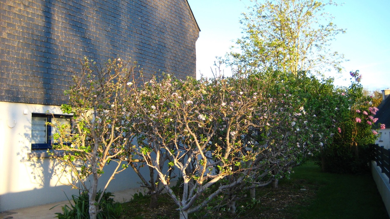 Photo of Outdoor in Sizun