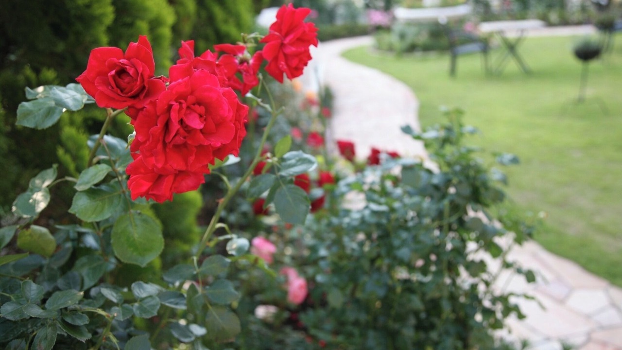 Photo of Outdoor in Hiratsuka