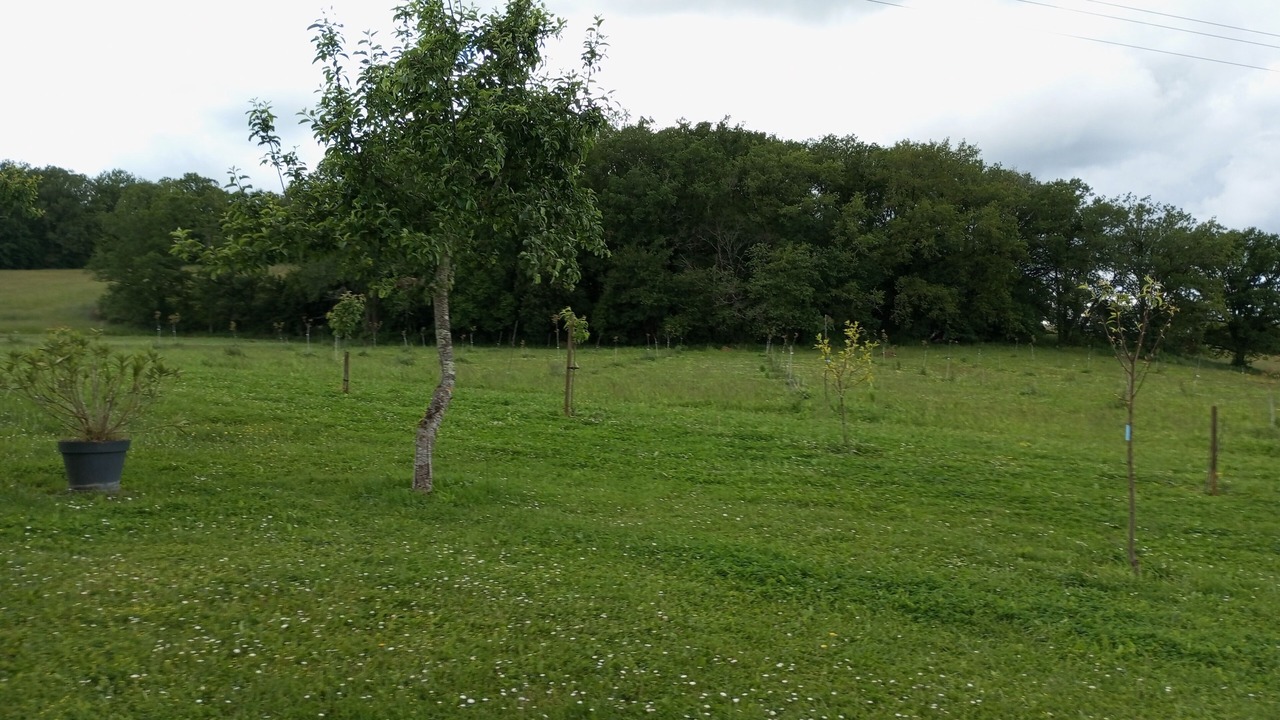 Photo of Others in Hautefort