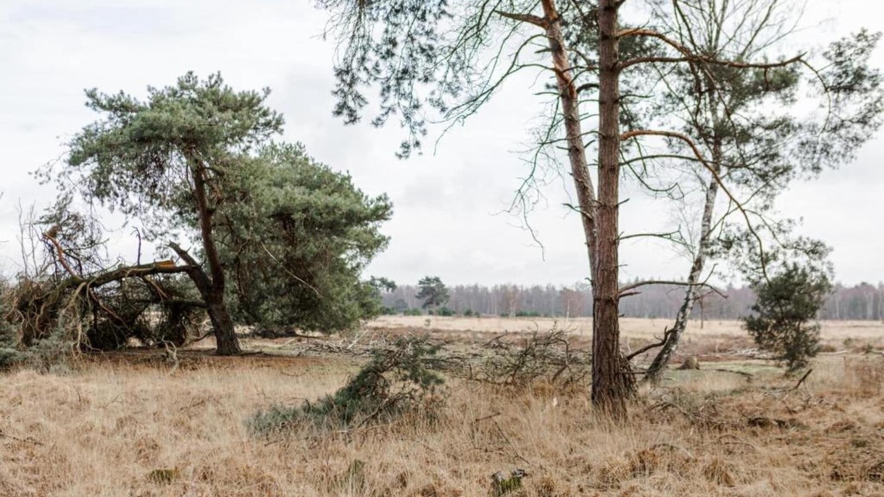 Photo of Others in Municipality of Someren