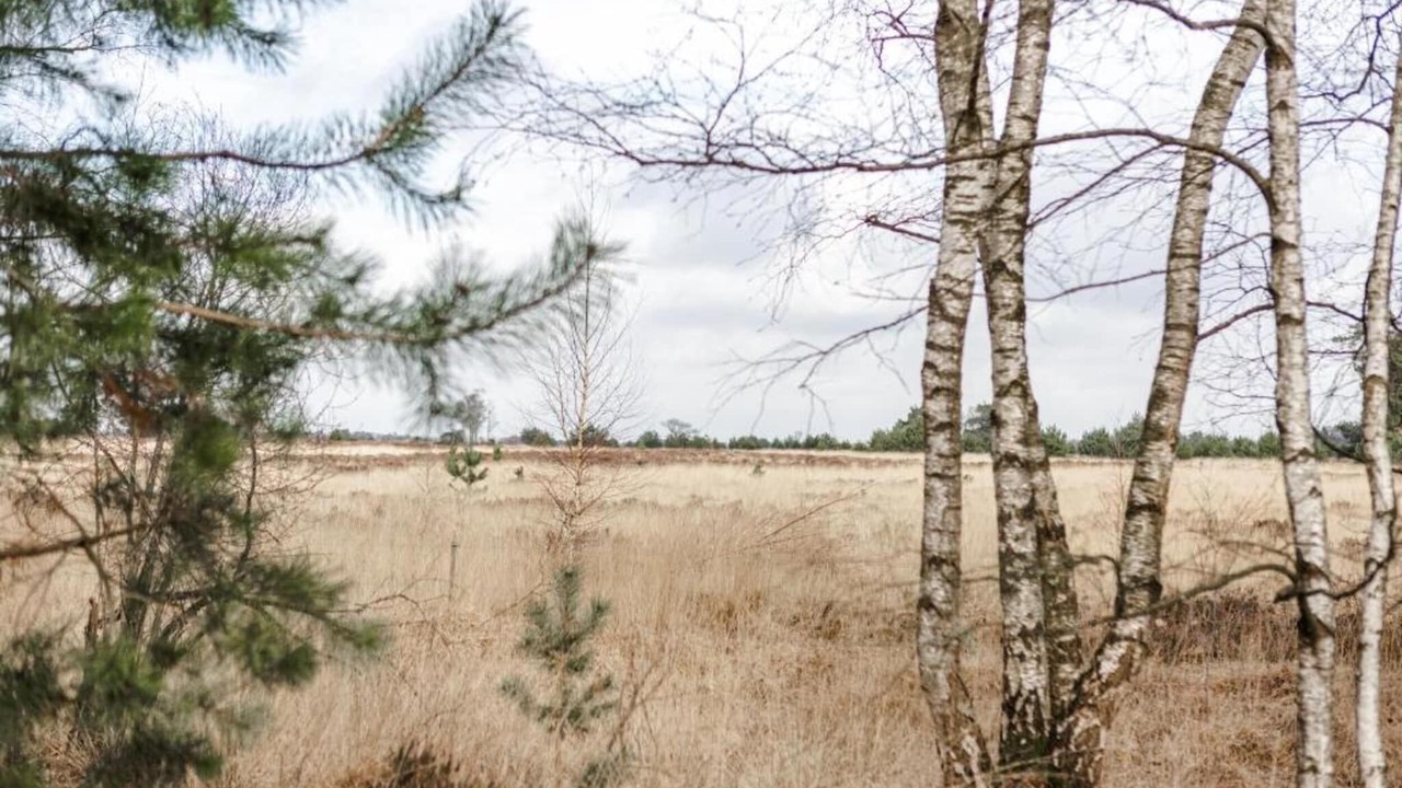 Photo of Others in Municipality of Someren