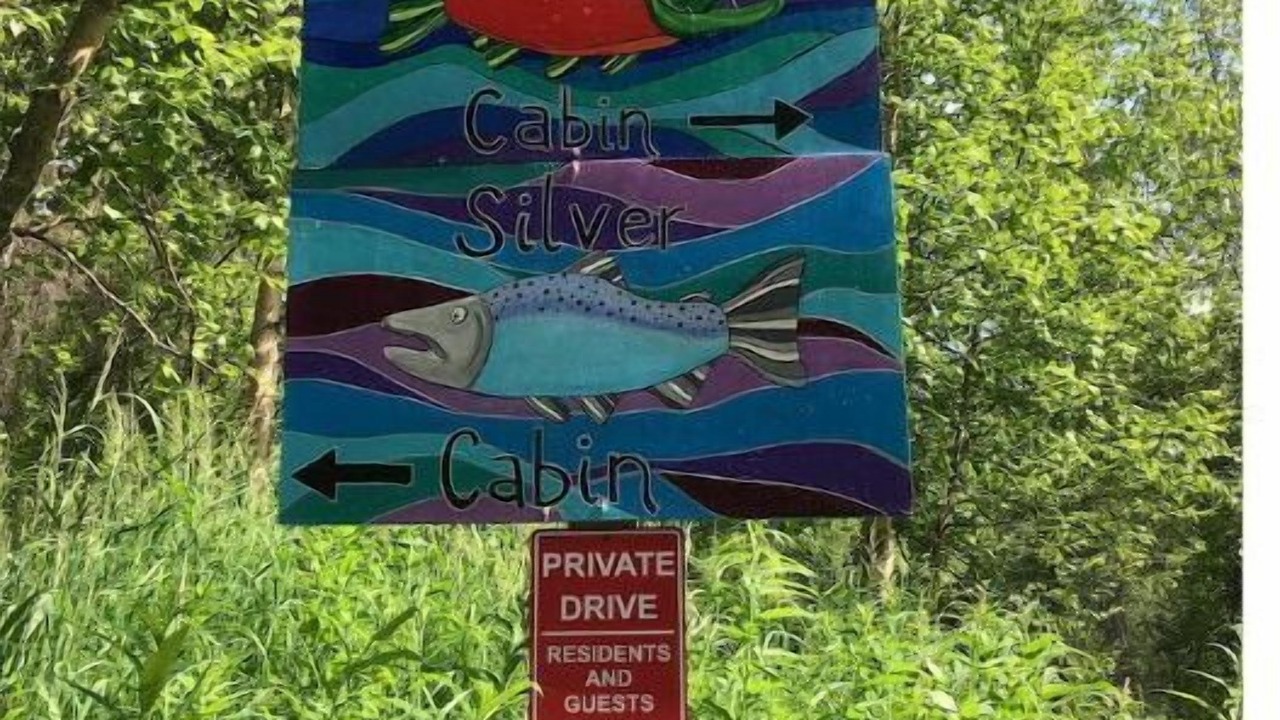 Photo of Outdoor in Susitna North