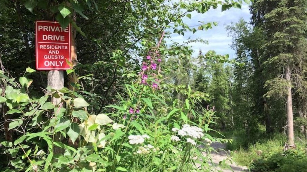 Photo of Outdoor in Susitna North
