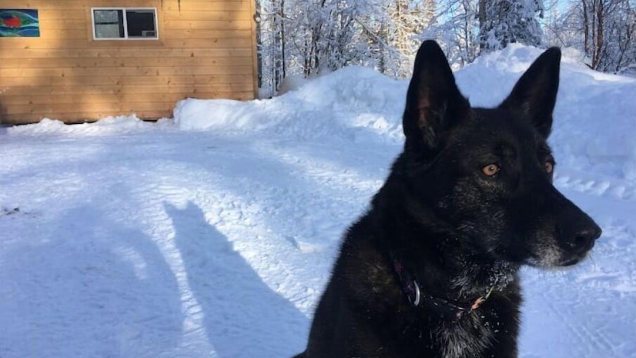 Photo of Outdoor in Susitna North