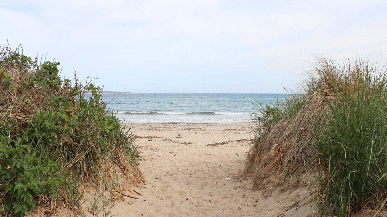 Photo of Others in Bonnet Shores