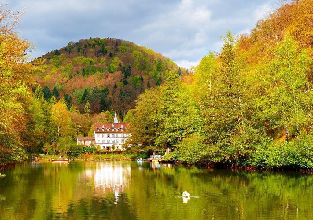 Photo of Others in Bad Bergzabern
