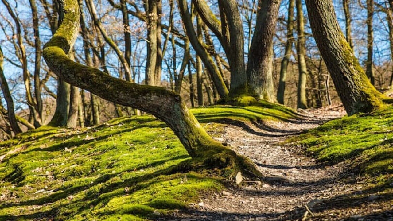 Photo of Outdoor in Wissmannsdorf