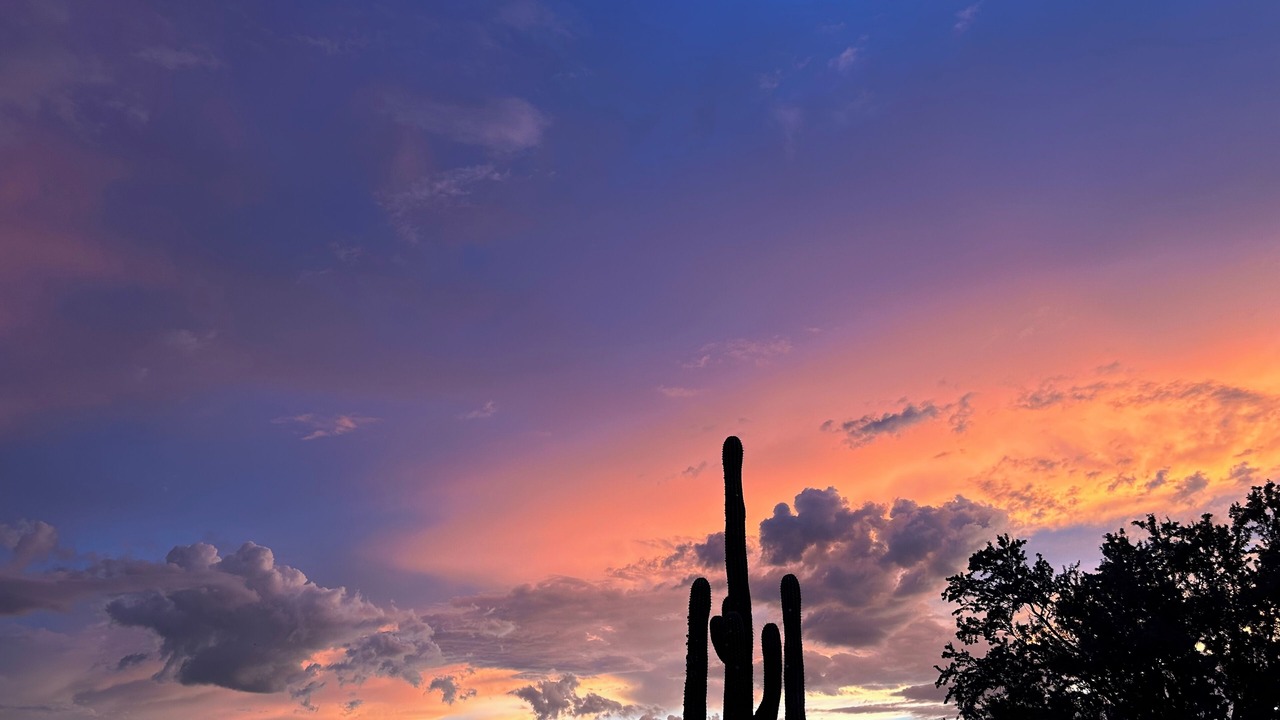 Photo of Others in Dove Mountain