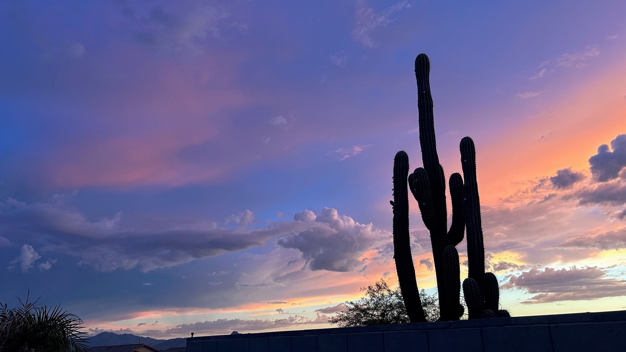 Photo of Others in Dove Mountain