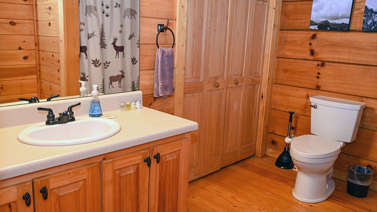Photo of Bathroom in Murphy