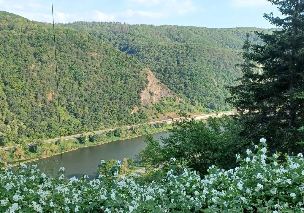 Photo of Others in Naunheim