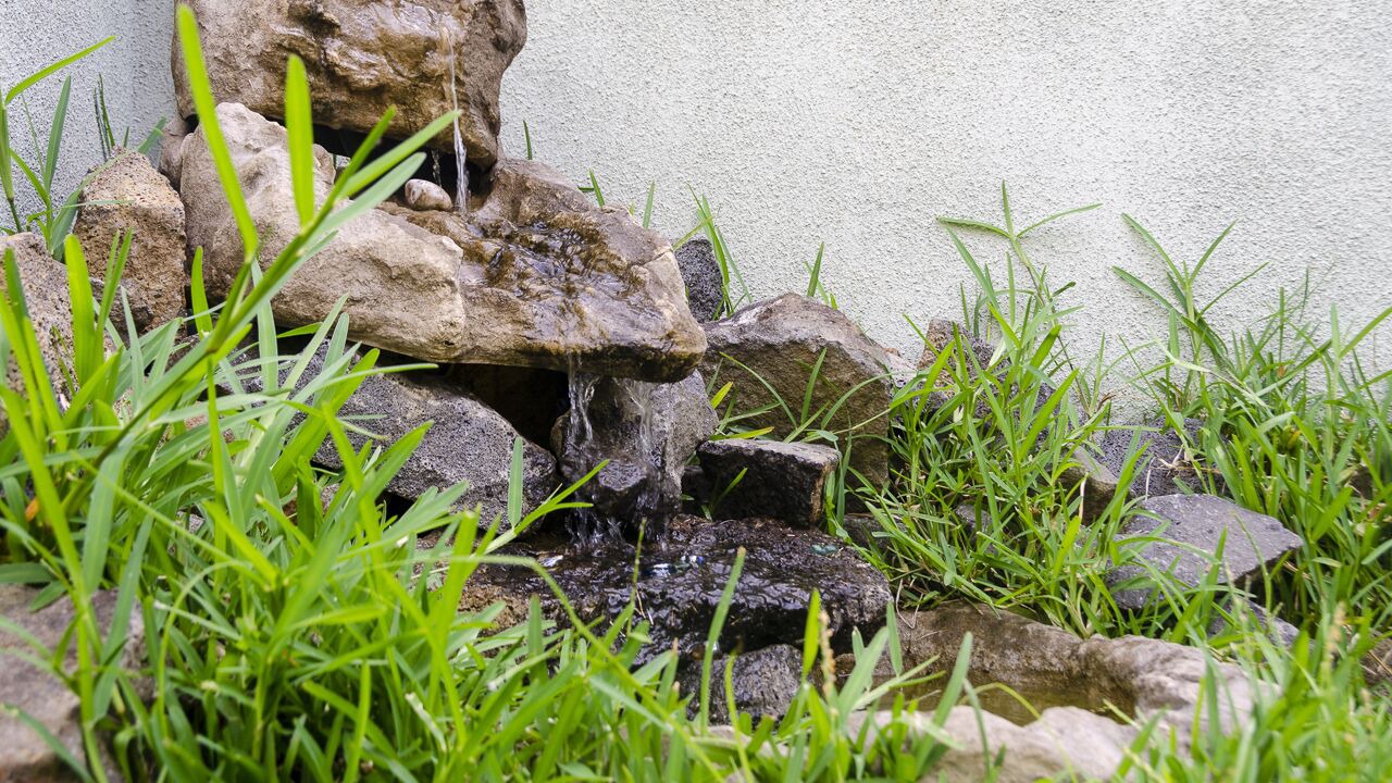 Photo of Outdoor in Quatre Bornes