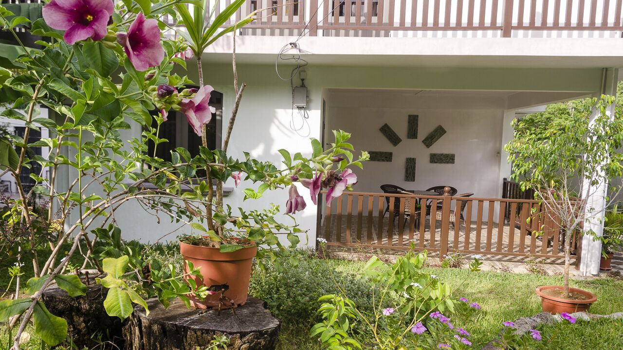 Photo of Outdoor in Quatre Bornes