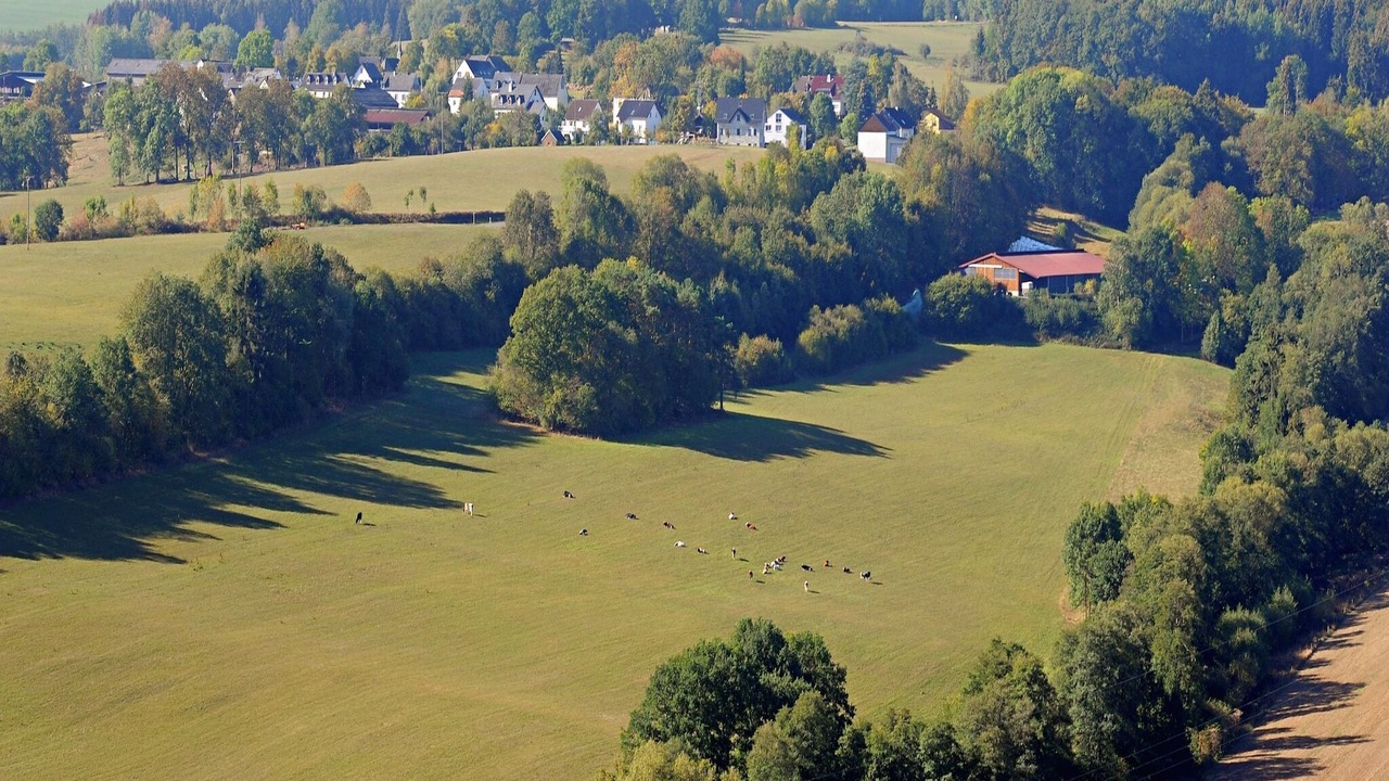 Photo of Others in Ferienhausgebiet Hillenseifen