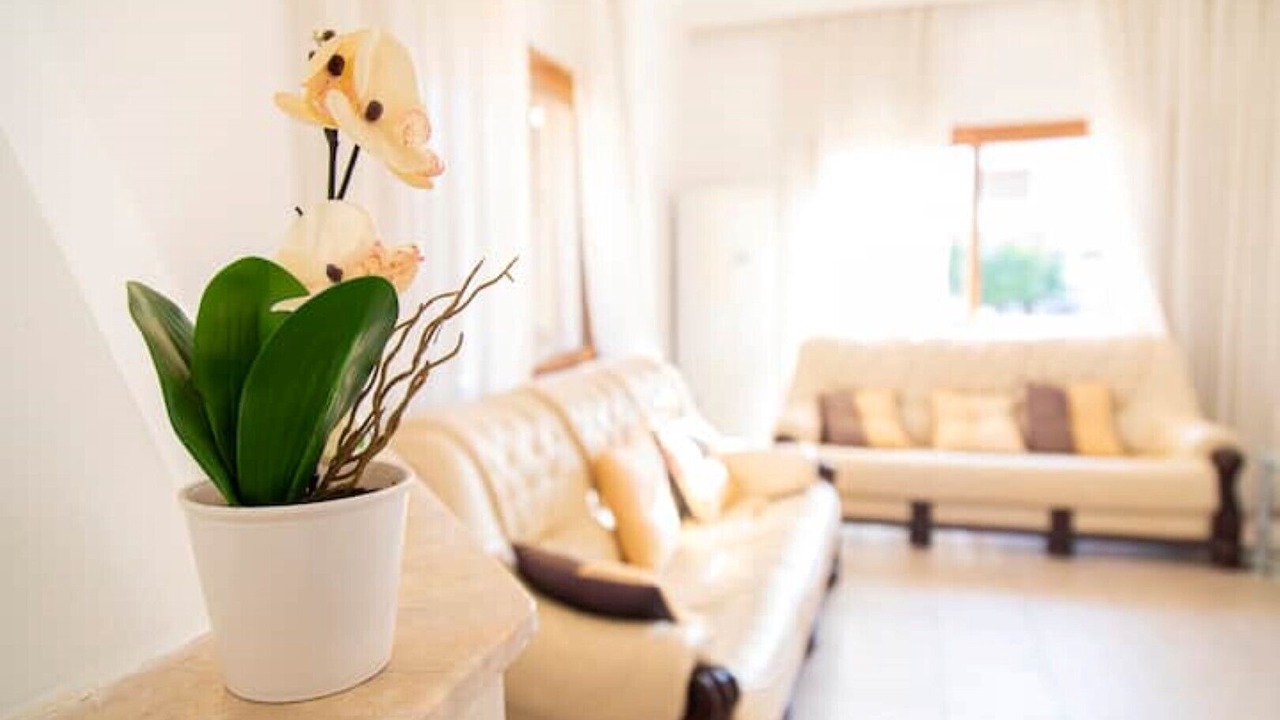 Photo of Livingroom in Trikomo