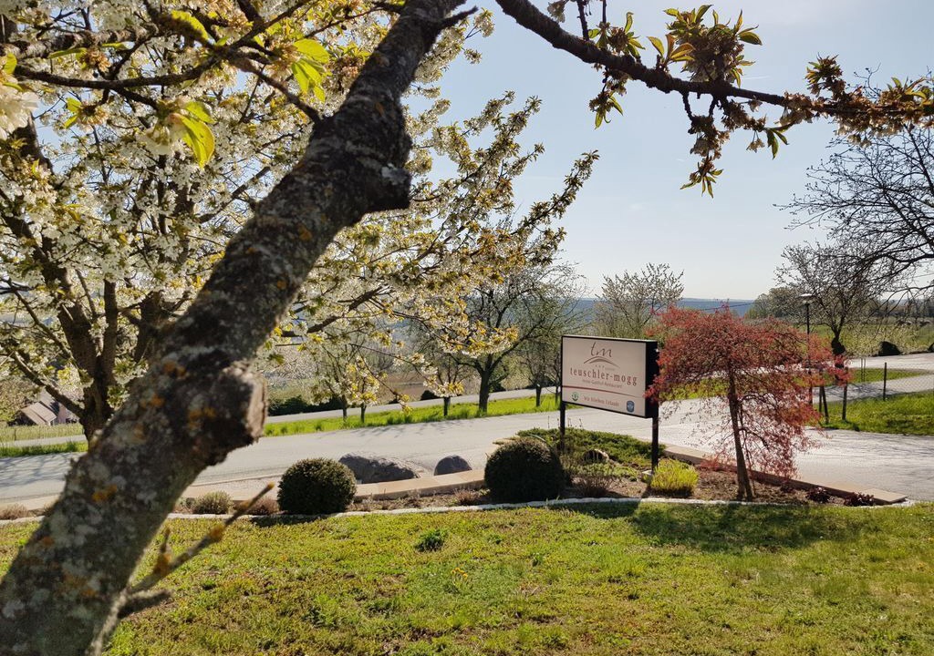Photo of Outdoor in Bad Waltersdorf