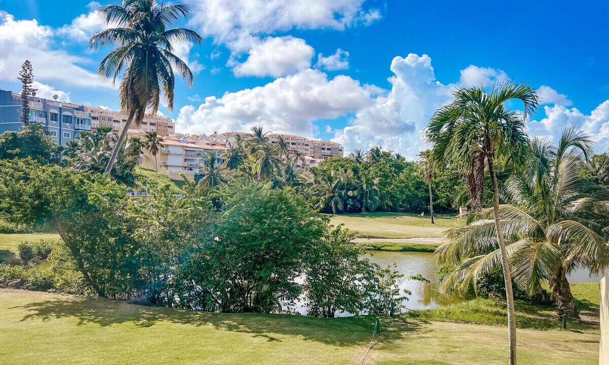 Photo of Outdoor in Candelero Abajo