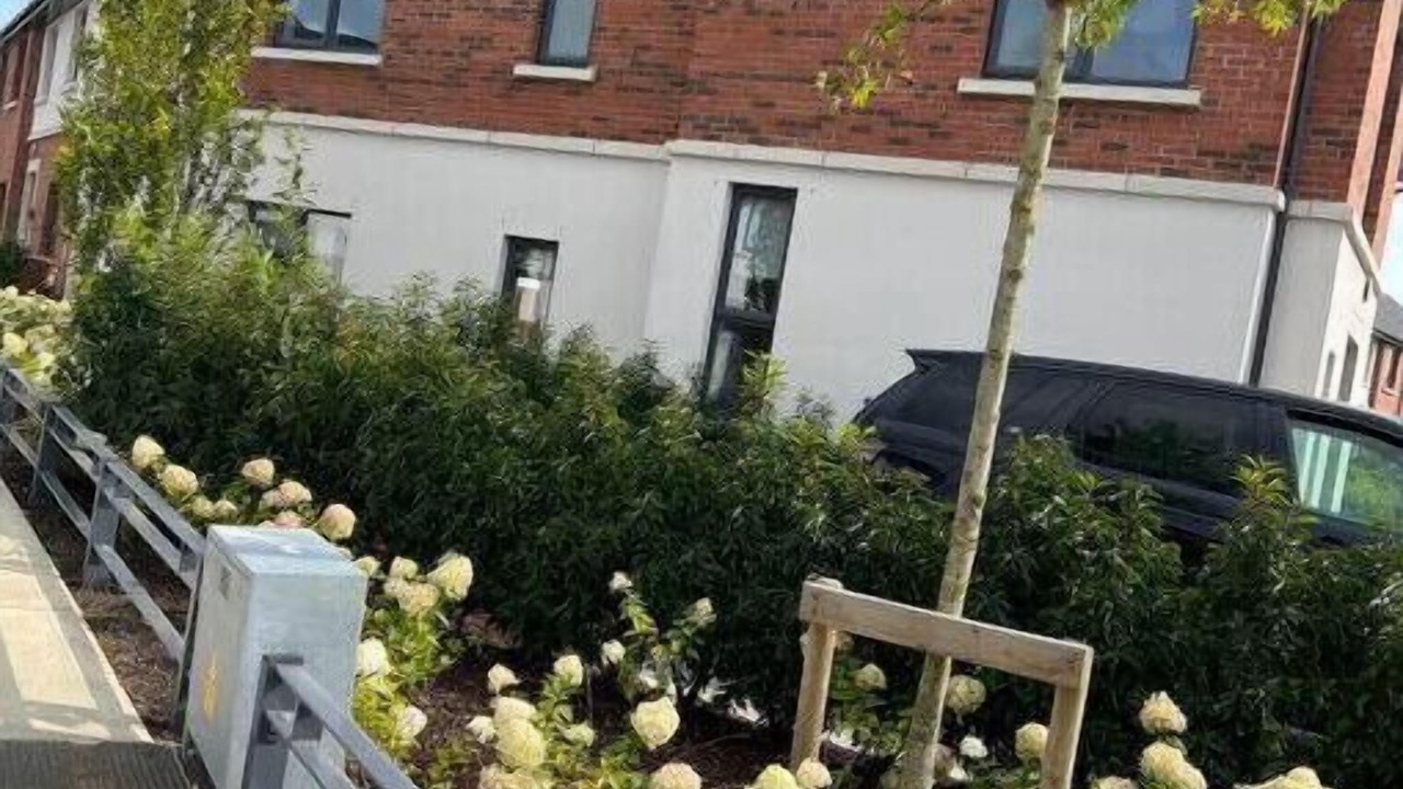 Photo of Outdoor in Lucan