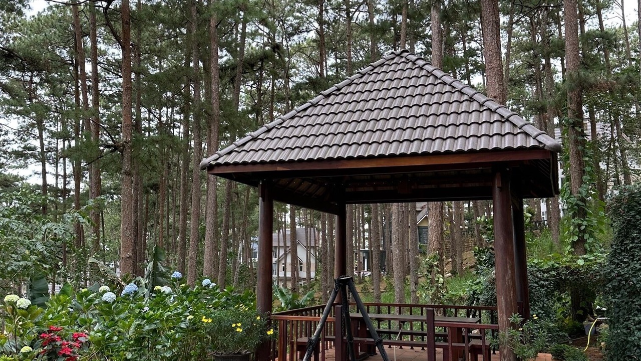 Photo of Outdoor in Da Lat