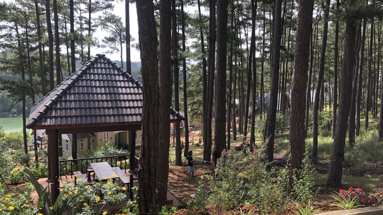 Photo of Outdoor in Da Lat