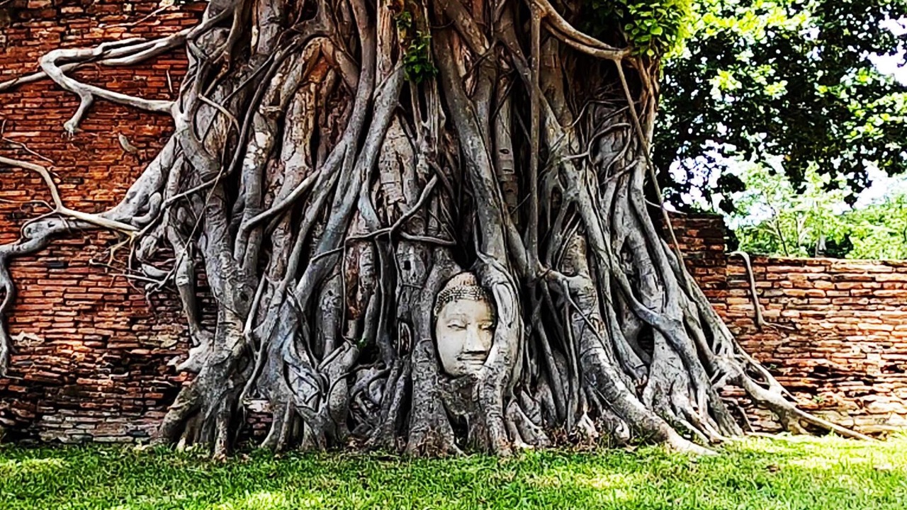 Photo of Outdoor in Ayutthaya
