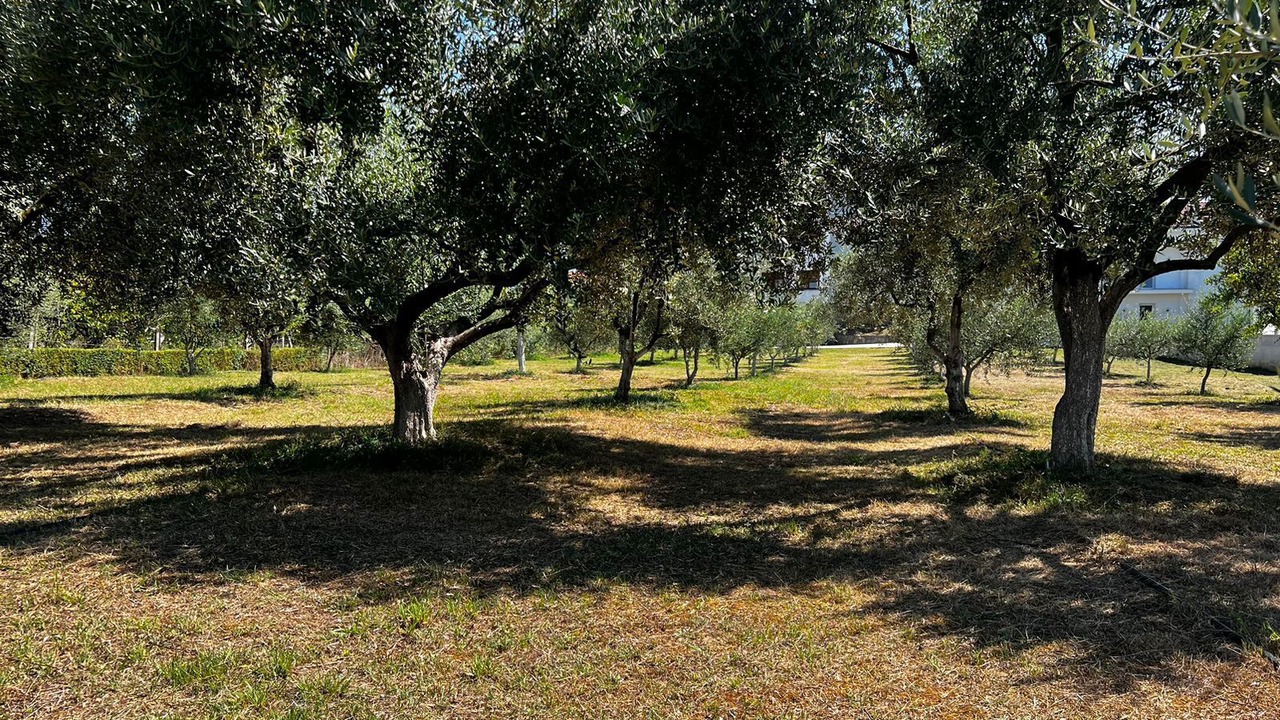 Photo of Outdoor in Kamez