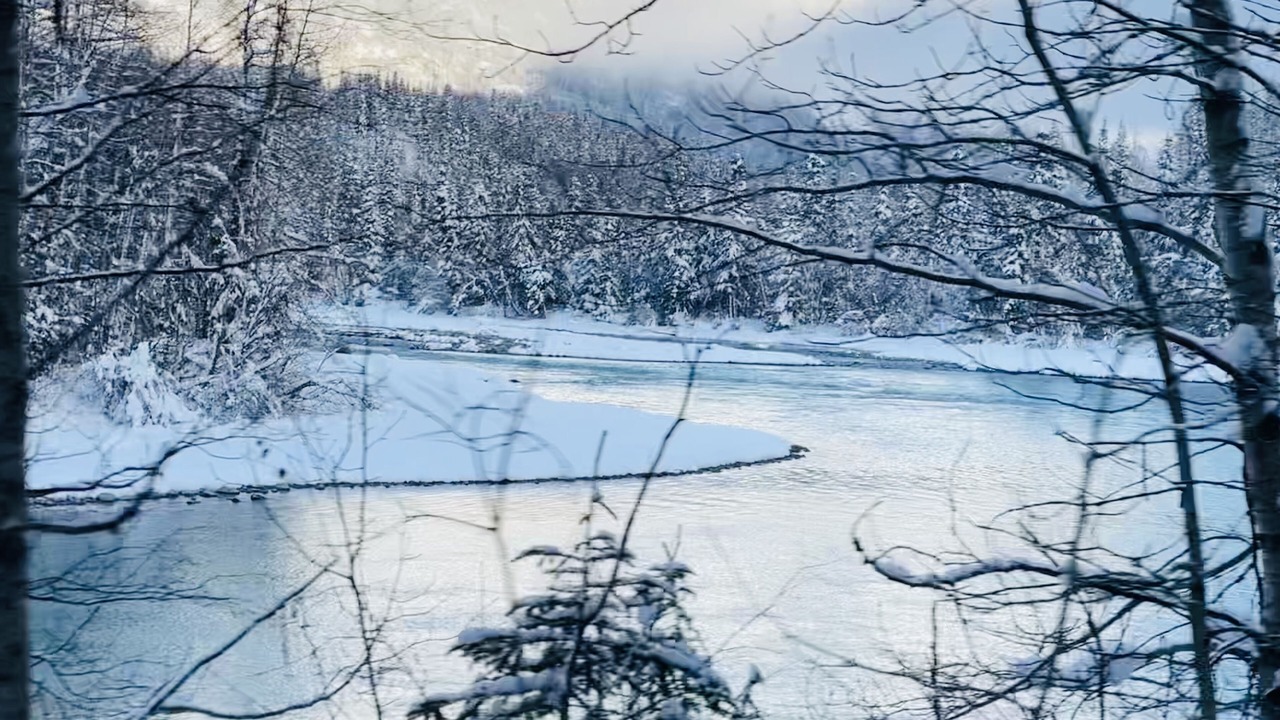 Photo of Others in Cooper Landing