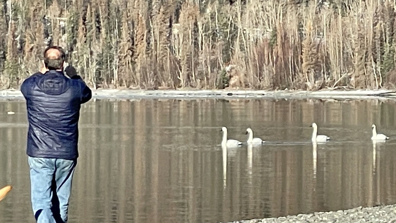 Photo of Others in Cooper Landing