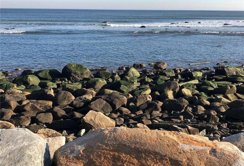 Photo of Others in Point Judith
