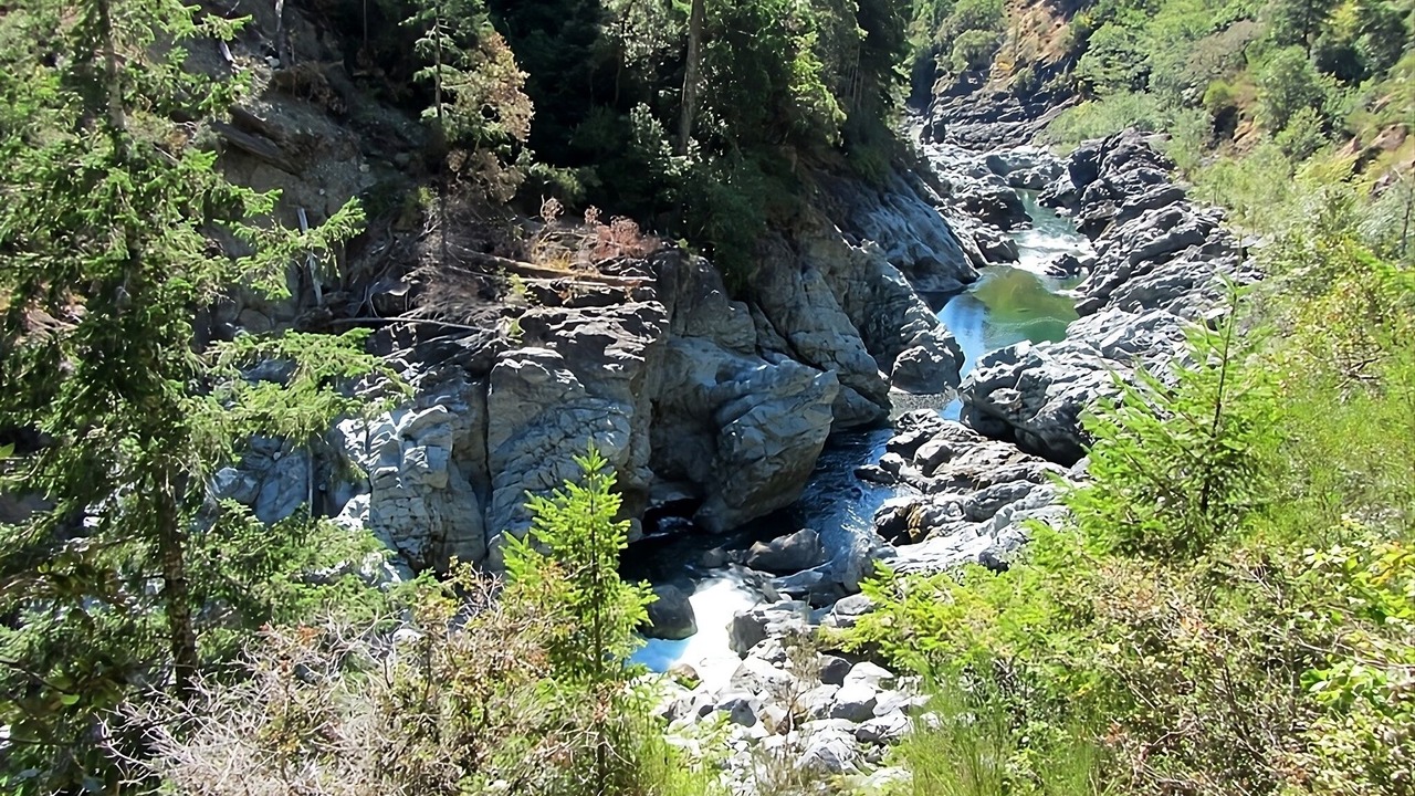 Photo of Others in Grants Pass