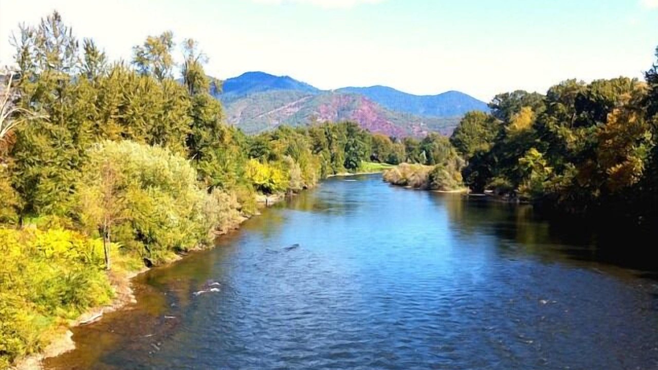 Photo of Others in Grants Pass